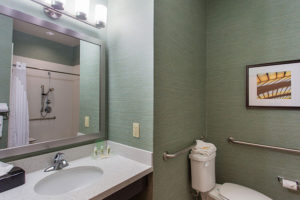 accessible bathroom vanity and toilet with grab bars